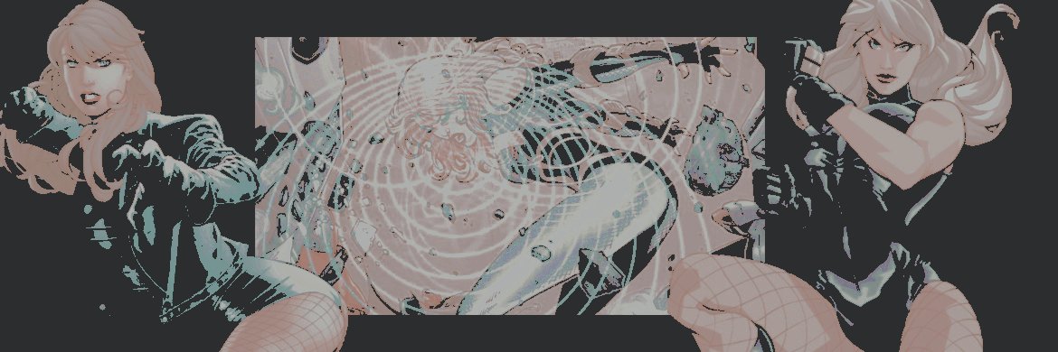 ˗ˏˋ 𝑩𝗟𝗔𝗖𝗞 𝑪𝗔𝗡𝗔𝗥𝗬 .ᐟ banner