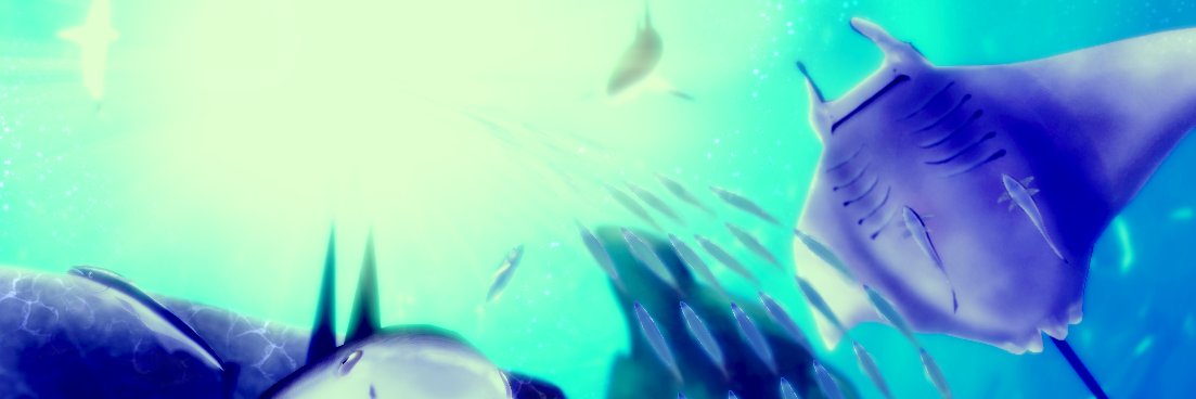 魚牛🐟🐄's banner