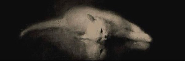 Cyb4rAnG3L Profile Banner