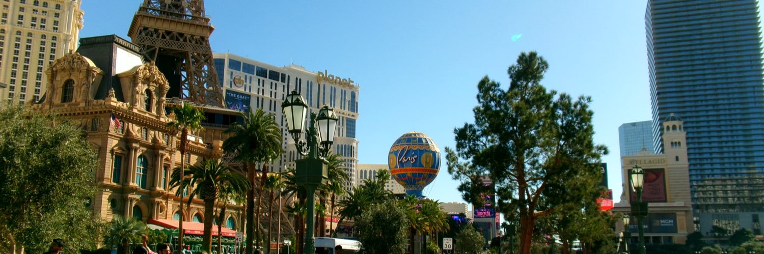 pujizzle banner