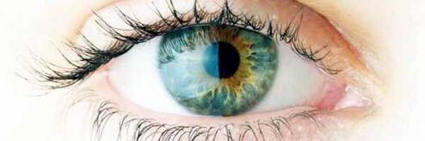 jonystick Profile Banner