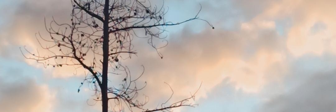 AteamCuenta's profile banner image