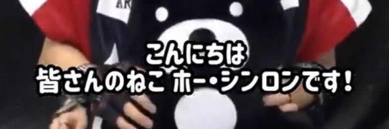 🐱mao🐱롱롱단 banner