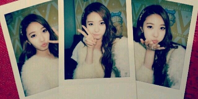 chief_Dahye's profile banner image