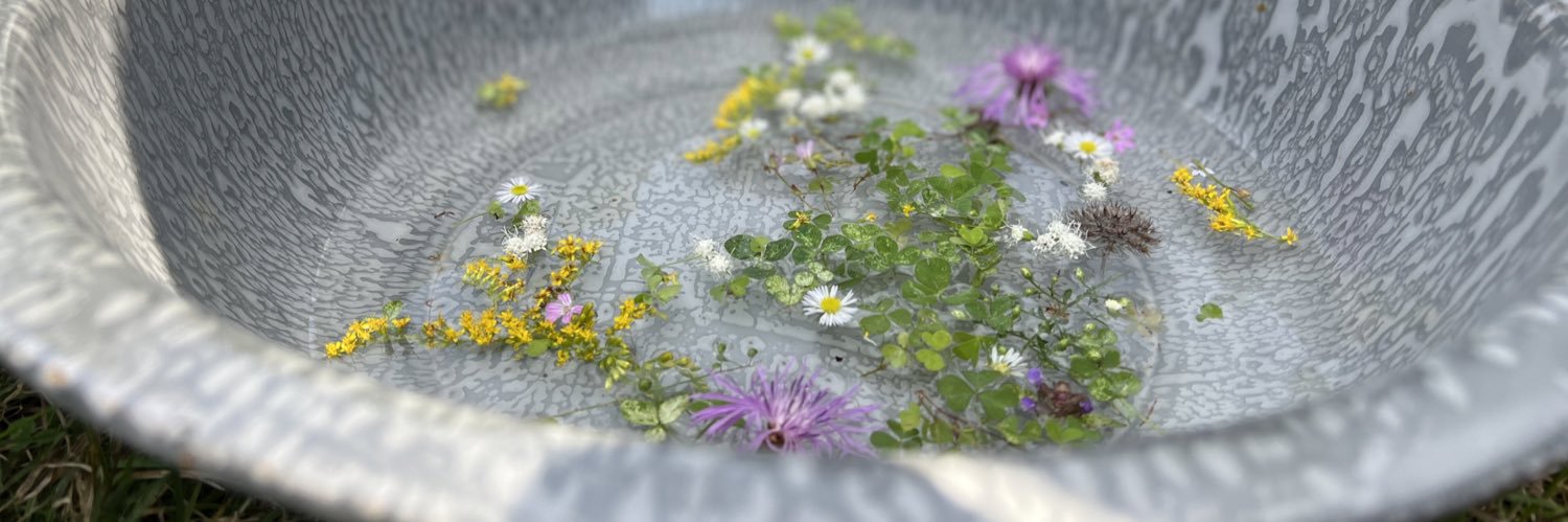 solserpens's profile banner image
