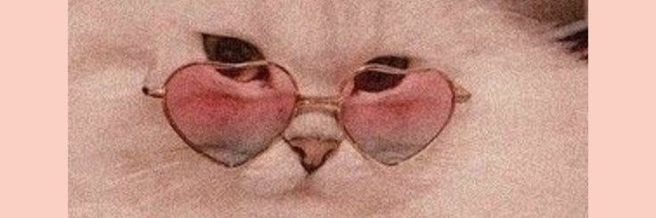 Mferrt's profile banner image