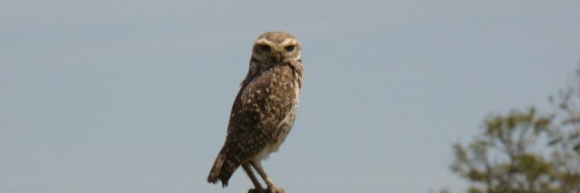 Mutumsessions's profile banner image