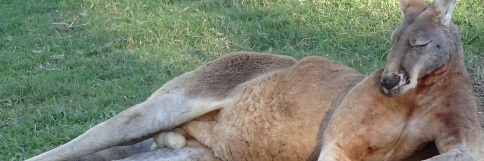 DowlingBJ's profile banner image