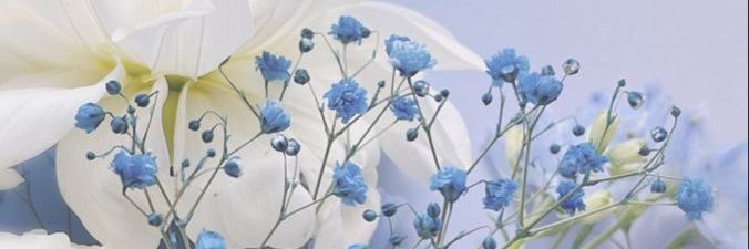 Lesslie X banner