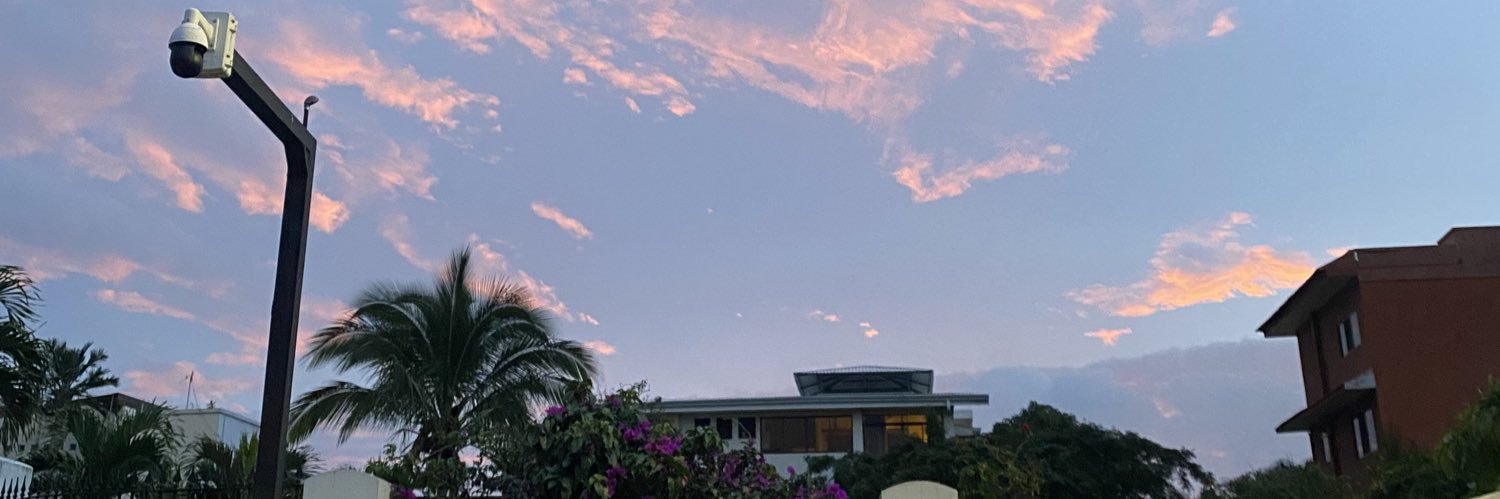 sariguzmi's profile banner image