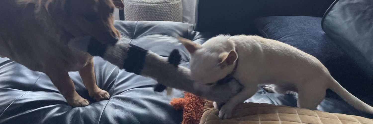 Matthew Groza banner