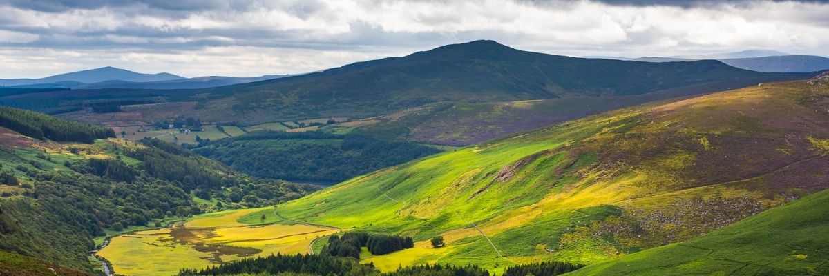 snufkincelt's profile banner image
