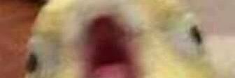 nvarcade's profile banner image