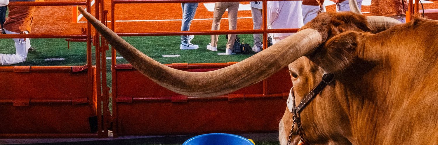 STILL!!! Bevo’s Golden Hat🐂🐂🐂 banner