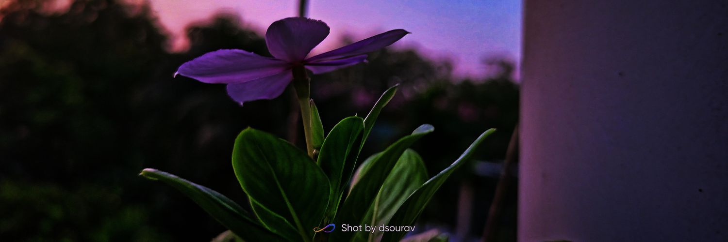 dsourav19's profile banner image