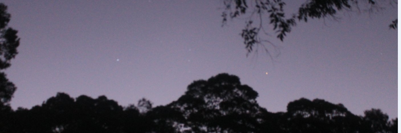 Claude Walker banner