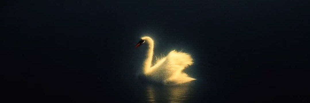 d7_er1's profile banner image