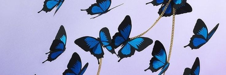 yamila_ami's profile banner image