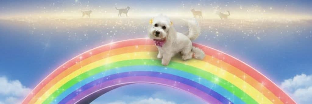 manrollq13's profile banner image