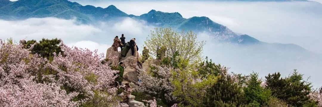Taian of China banner