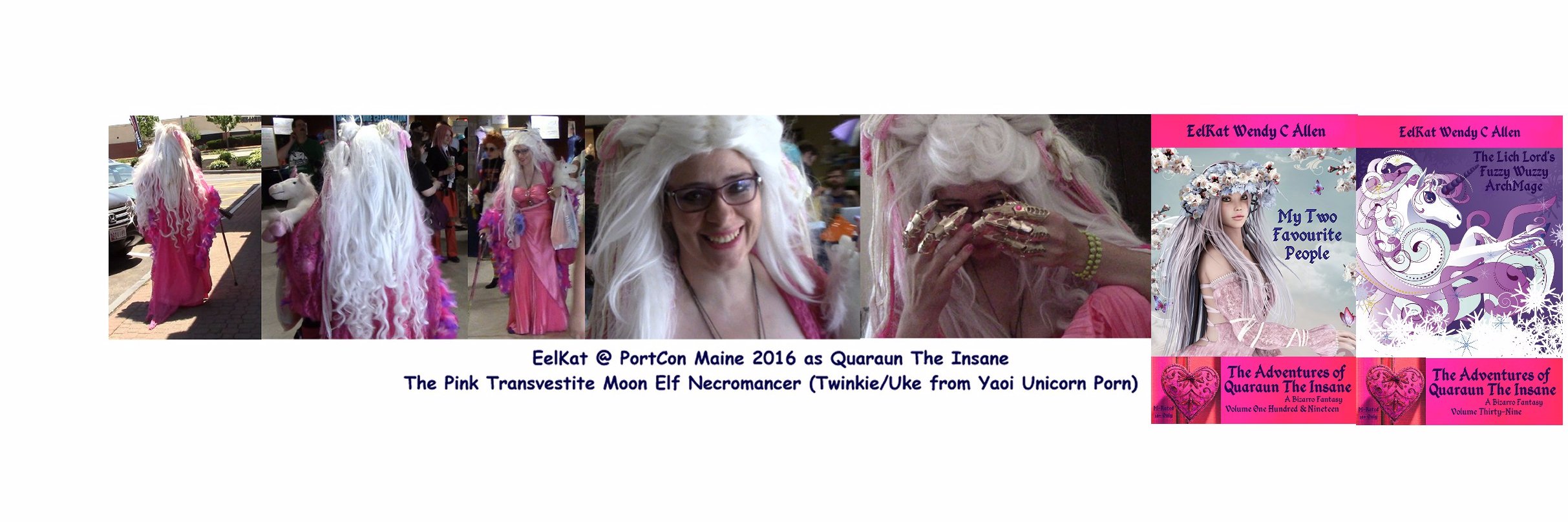 A Pink Unicorn banner