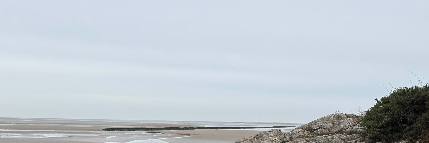 Rony Kati banner