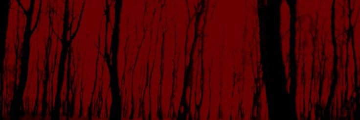 spencially's profile banner image