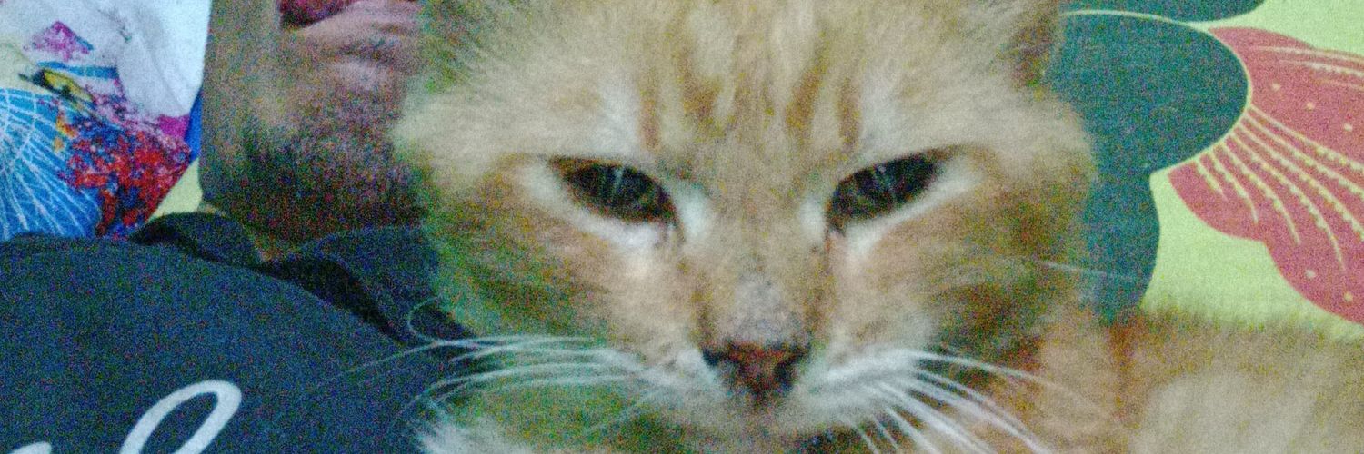 ukilopcat's profile banner image