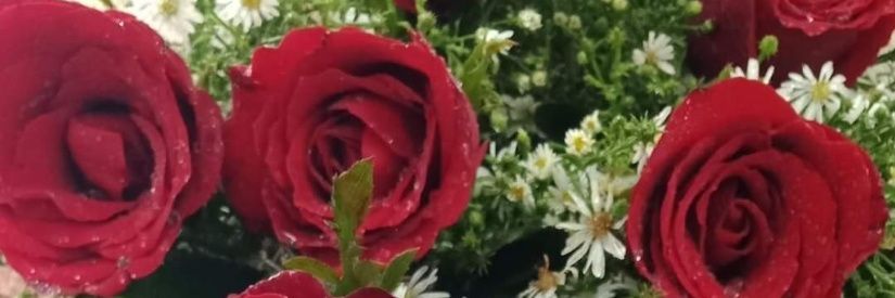 RioSio74's profile banner image