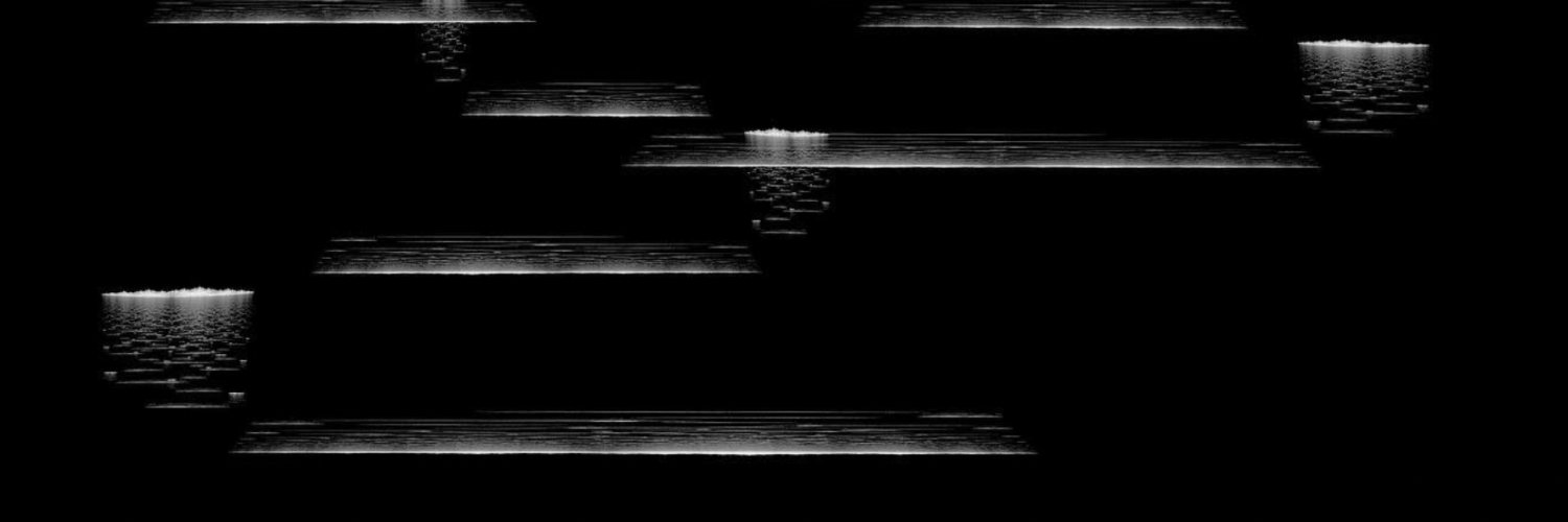 Bjarni Gunnarsson banner