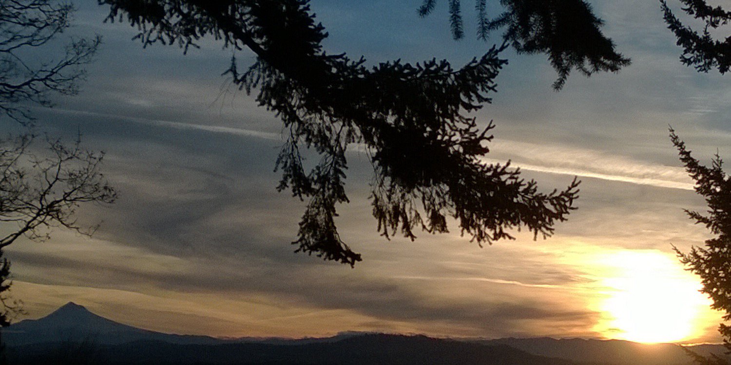 Richard Appleyard banner