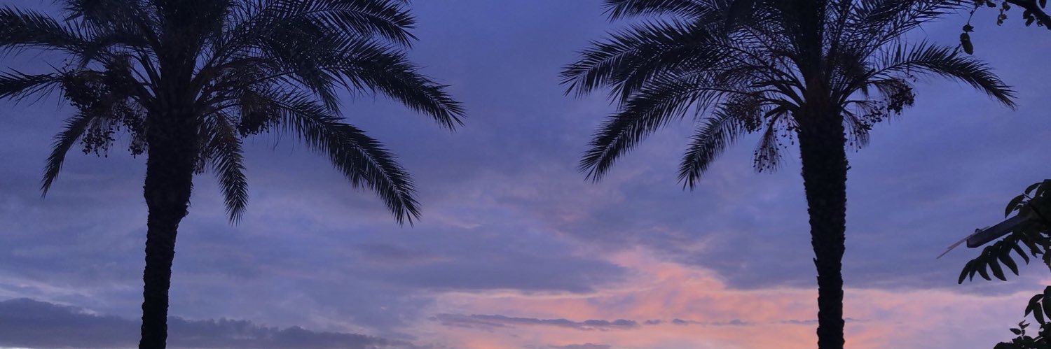 krysjaevans's profile banner image