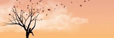 THU11289's profile banner image