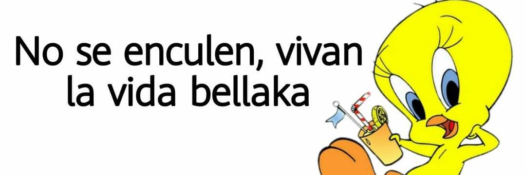 monkeybagy's profile banner image
