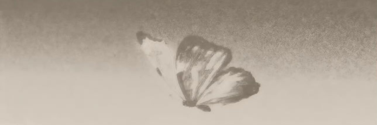🌙 banner