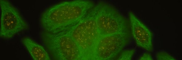 DParra_Sci Profile Banner
