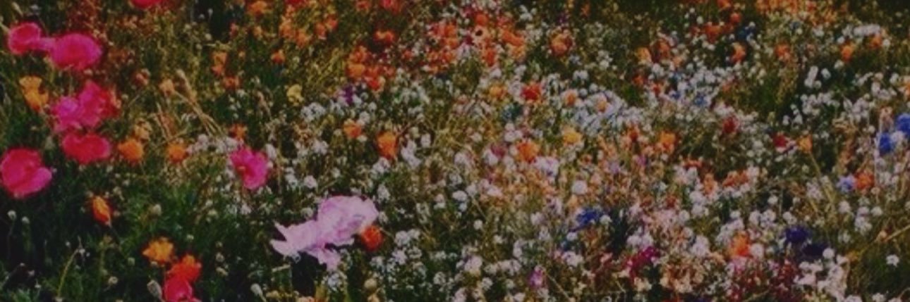 baillllssss's profile banner image