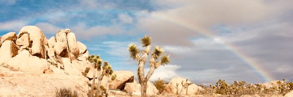 rebeccaplevin Profile Banner