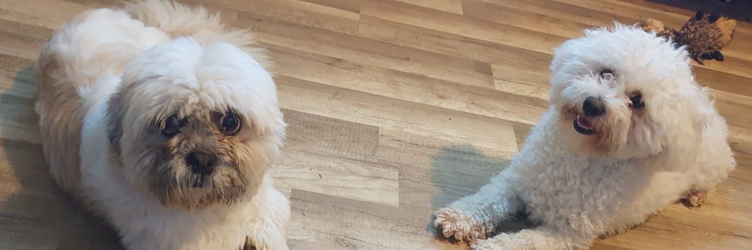 Caroline banner