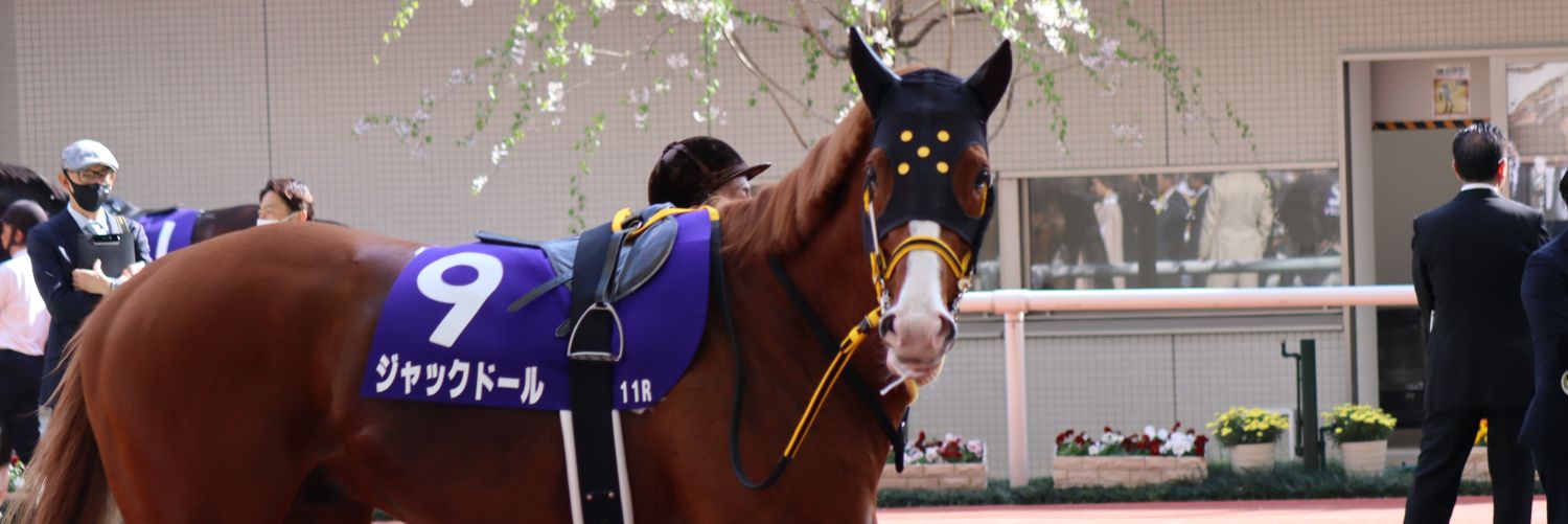 🔺ゆりお▪️ banner