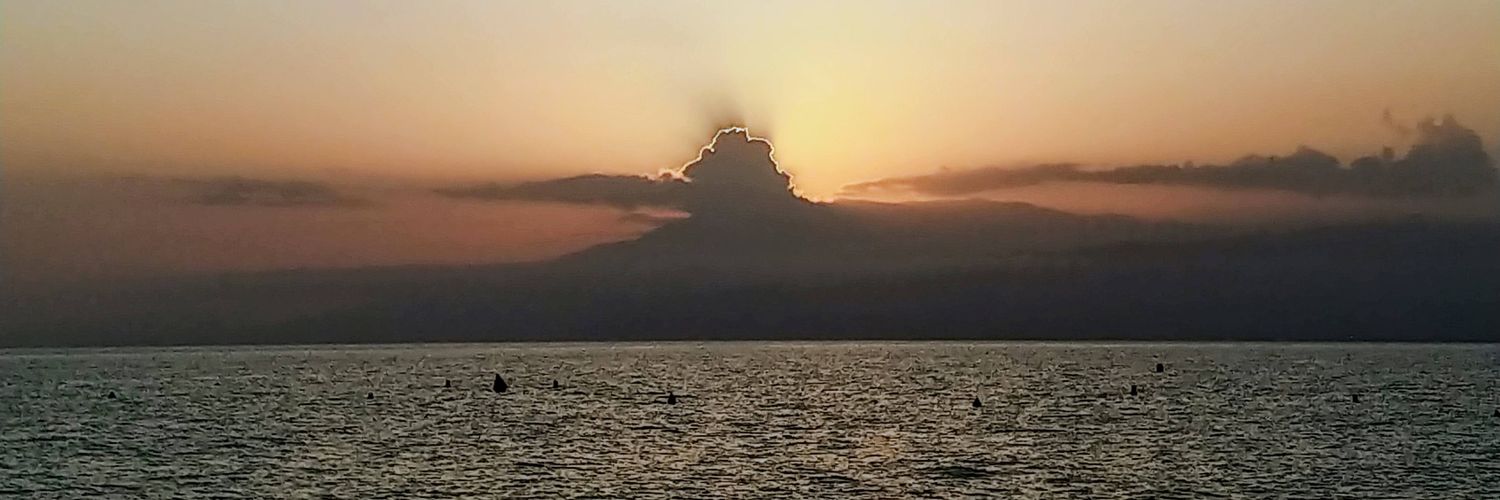 litteraest_RT's profile banner image