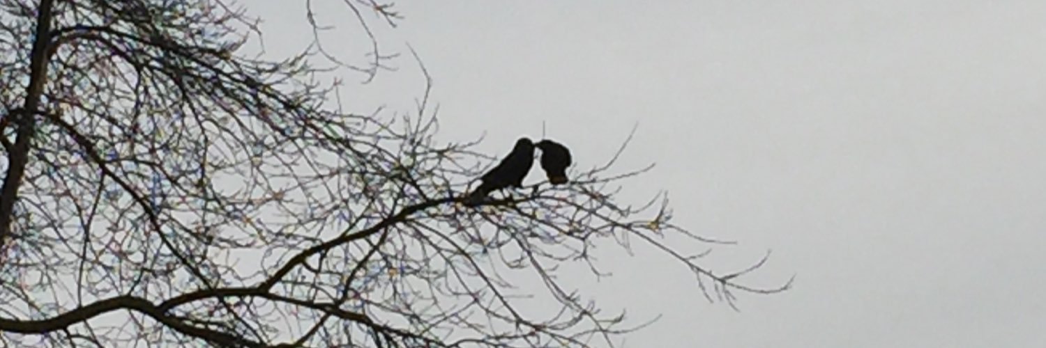 Annye Castonguay banner