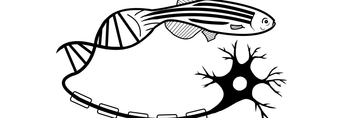 Jamie Corcoran banner