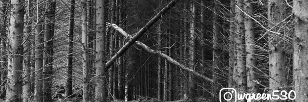 WGreen530 Profile Banner