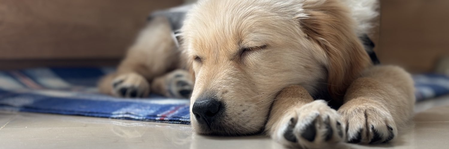 پیکر پارتر banner