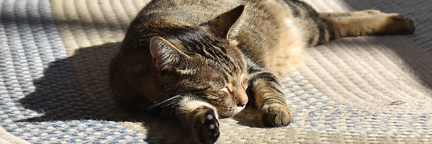 Harold F. Cobin banner