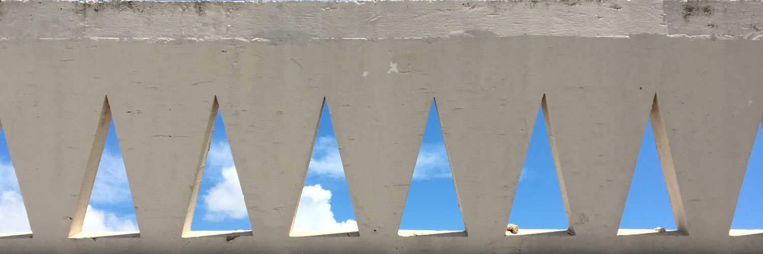 r4dski's profile banner image