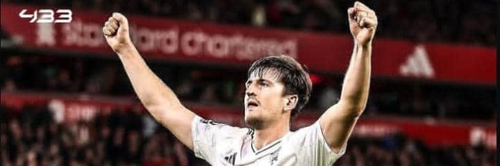 hail to the kings banner