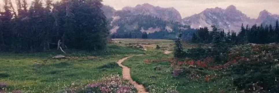 Jwild96's profile banner image