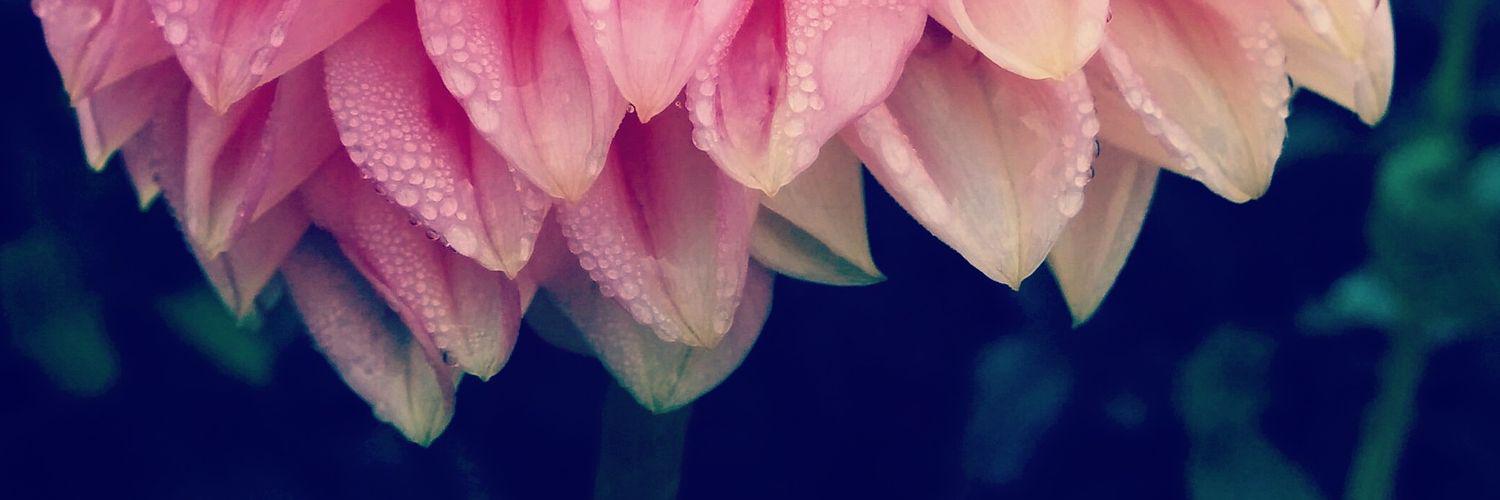 erinmball's profile banner image
